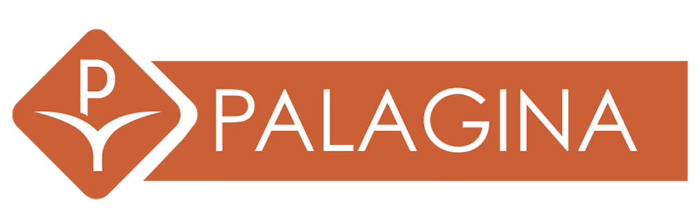 logo-palagina-web
