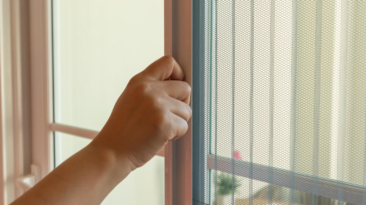 Zanzariere per finestre: quale scegliere | Newport Infissi